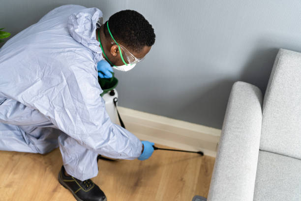 Best Fumigation Services  in North Bay Shore, NY